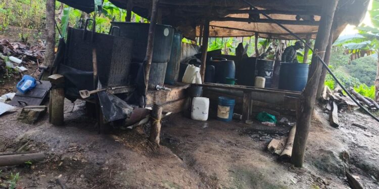 Golpe al Clan del Golfo en Antioquia: destruyen dos laboratorios de coca y afectan sus finanzas en $80 millones