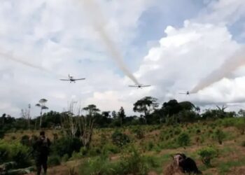 Colombia reanuda la aspersión aérea de cultivos ilícitos tras 11 años de suspensión: Ejecutivo fija prueba piloto con glufosinato de amonio