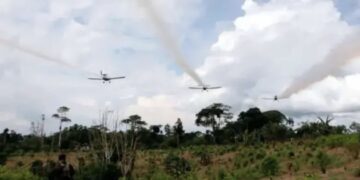 Colombia reanuda la aspersión aérea de cultivos ilícitos tras 11 años de suspensión: Ejecutivo fija prueba piloto con glufosinato de amonio