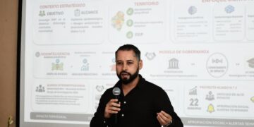 Borrador automático
