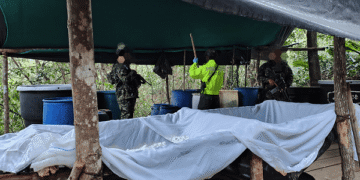 Nuevo golpe a las economías ilícitas del GAO ELN en Norte de Santander, más de una tonelada de clorhidrato de cocaína incautado