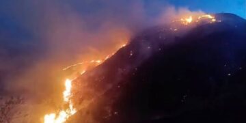 Alerta en Ábrego por incendio forestal: piden refuerzos y abastecimiento de agua para combatir las llamas