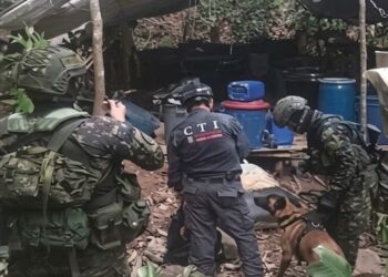 Ejército destruye laboratorio del ELN en Norte de Santander: incautan más de 1,1 toneladas de cocaína