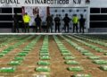 Incautan cerca de una tonelada de cocaína en la Sierra Nevada de Santa Marta: golpe al narcotráfico en Calabazo