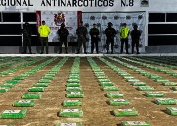 Incautan cerca de una tonelada de cocaína en la Sierra Nevada de Santa Marta: golpe al narcotráfico en Calabazo