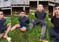 Capturan en Tuluá a cinco presuntos integrantes de disidencias y decomisan nueve armas