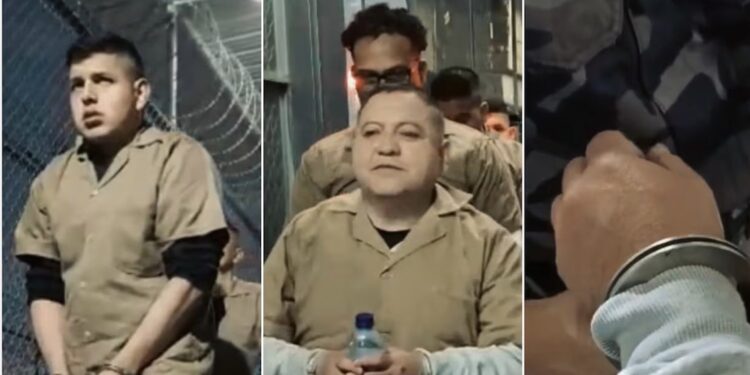 Abelardo De La Espriella revela video de la extradición de nueve criminales: esposados, rapados y en uniforme