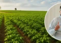 Gobierno deroga protección de 15.839 hectáreas destinadas a producción de alimentos en Cundinamarca