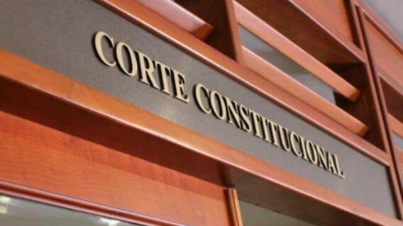 Corte Constitucional protege a los hinchas y prohíbe censurar críticas contra directivos del fútbol