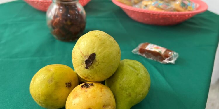 Gobernación del Atlántico impulsa el emprendimiento con el XVII Festival de la Guayaba en Palmar de Varela