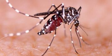 Alerta por presunto aumento de dengue en Puerto Giraldo: habitantes piden intervención urgente