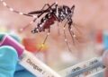 Barranquilla enfrenta proliferación de mosquitos mientras el Atlántico supera los 3.100 casos de dengue